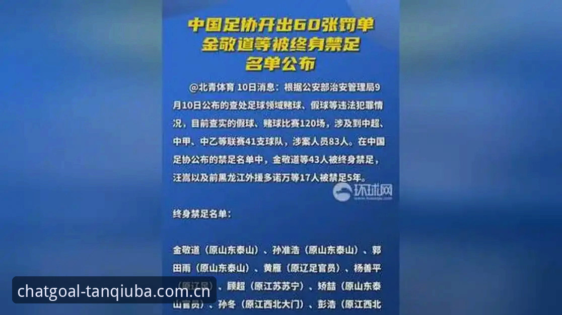 足协第三批禁足名单与行业整顿：17人终身禁赛 vs 48人5年禁赛的全面对比分析
